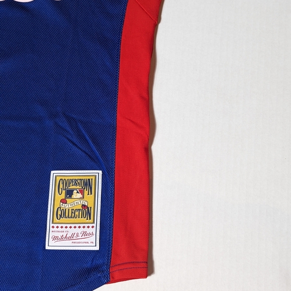 Official Mitchell & Ness Roy Halladay MLB BP Jersey - Picture 9 of 15